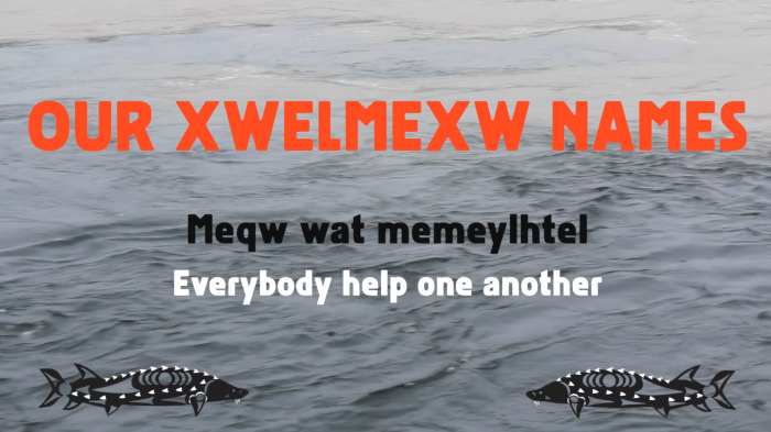 Screen Shot 2017-05-20 at 9.51.24 PM